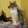 Отзыв от Антонина Швецова